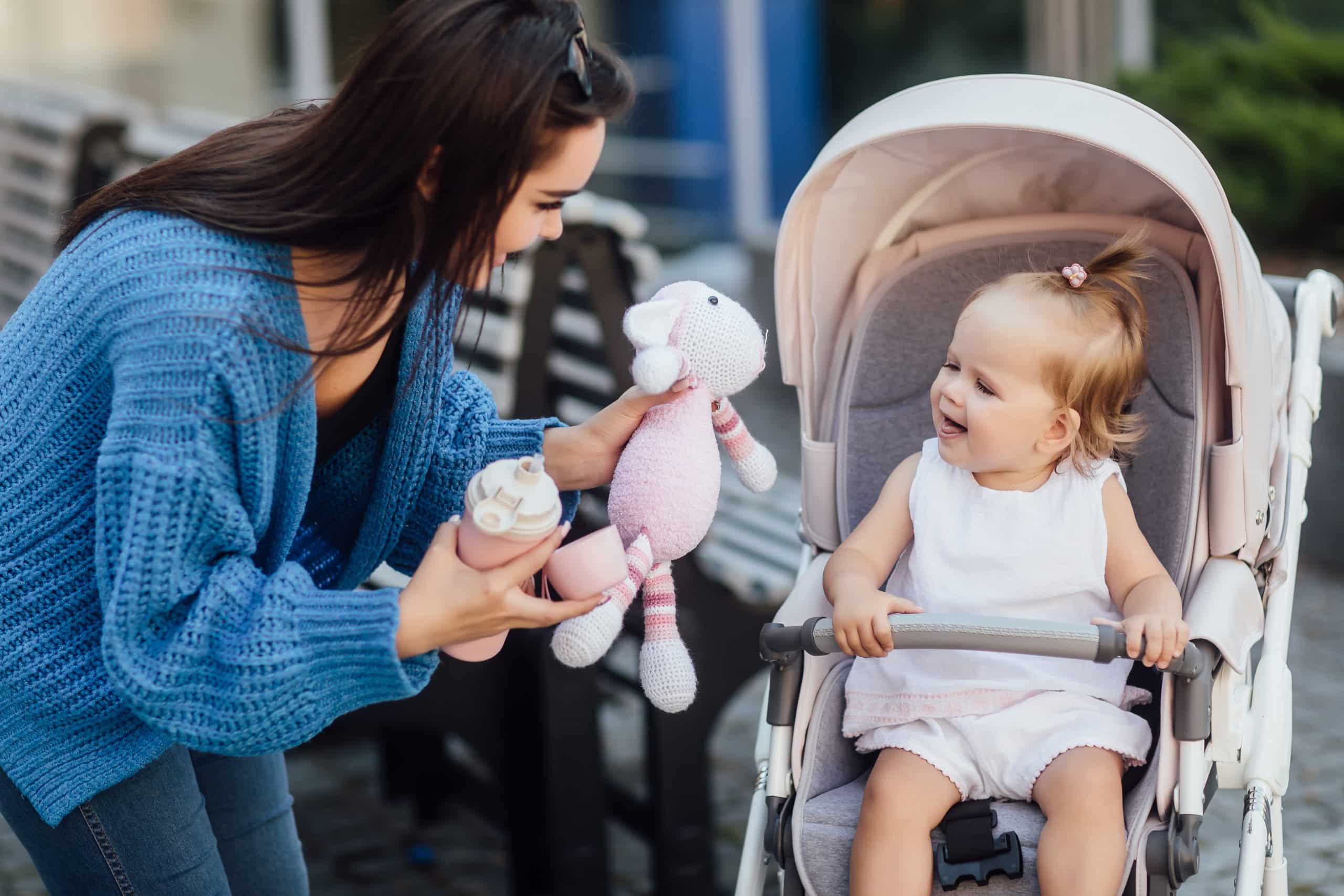 Carrinho de bebê: tudo sobre o assunto.