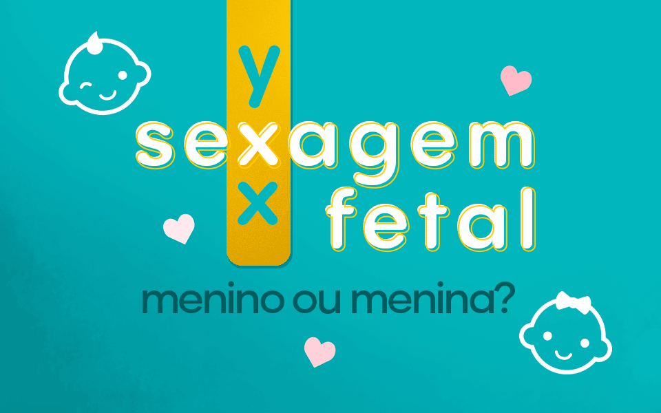 sexagem fetal iFraldas capa