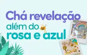 cha revelacao rosa azul capa