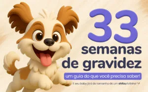 Shitzu fofinho com texto 33 semanas de gravidez
