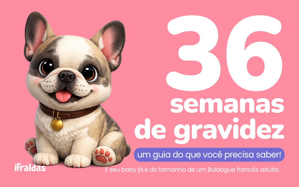 36 de semanas de gravidez, bebê do tamanho de um buldogue francês.