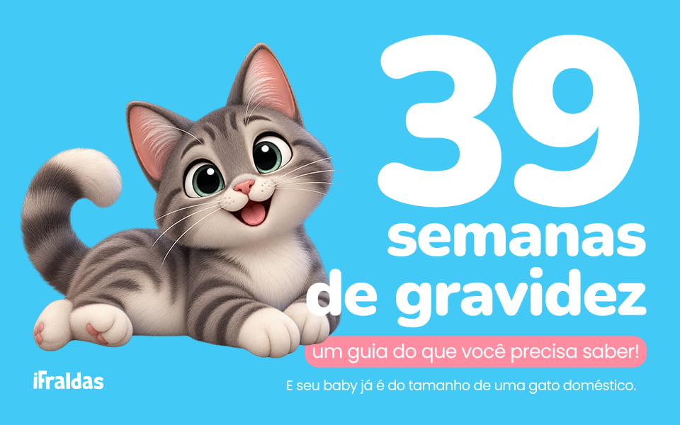 Gato fofo com texto sobre gravidez